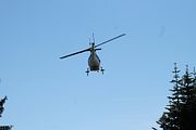03 - Grouse Mountain - IMG_1509